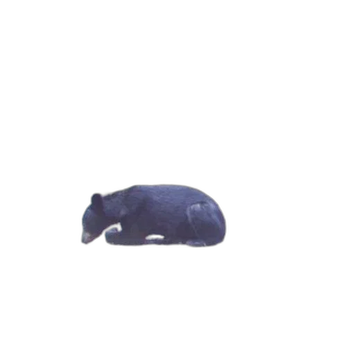 hat, animal, mask, creature transparent PNG cut-out