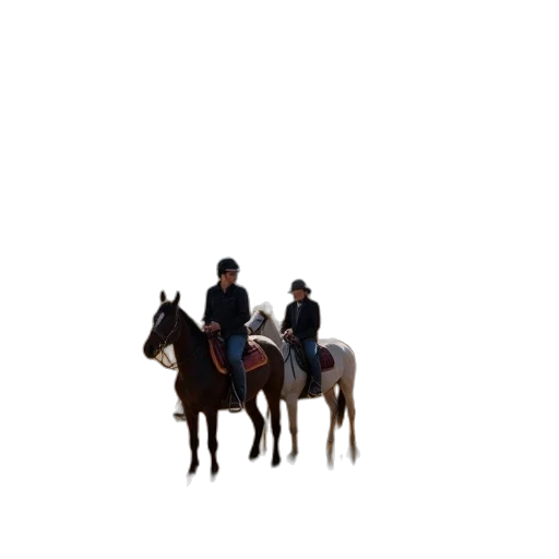 hat, animal, staff, pixel art transparent PNG cut-out