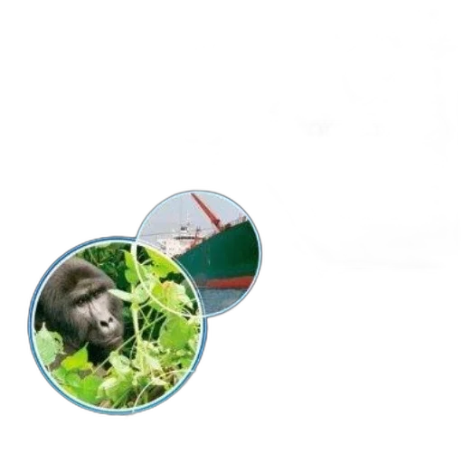 animal, food, creature, staff transparent PNG cut-out