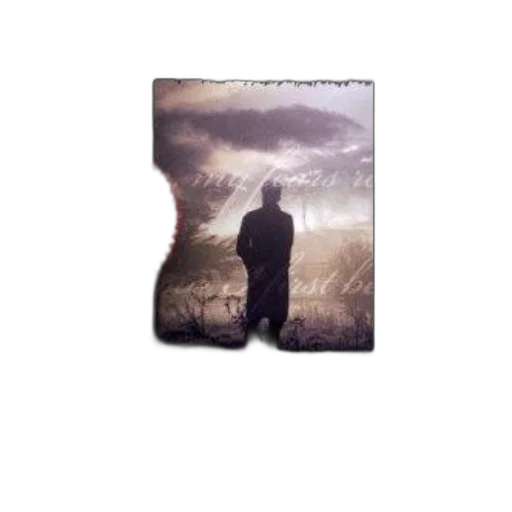 umbrella, jacket, photorealistic, concept art transparent PNG cut-out