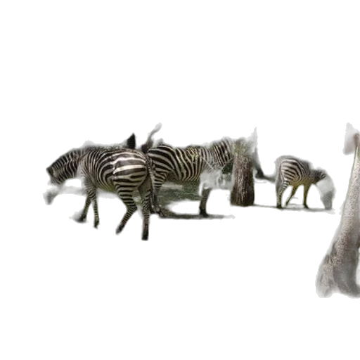 animal, creature, staff, dragon transparent PNG cut-out