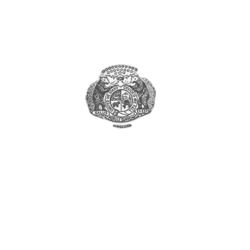 jewelry, crown, flower, face transparent PNG cut-out