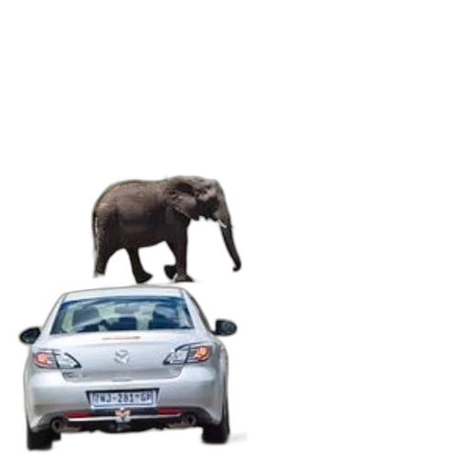 car, animal, creature, concept art transparent PNG cut-out