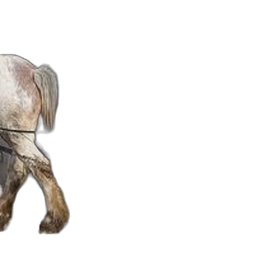 animal, creature, weapon, photorealistic transparent PNG cut-out