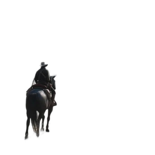 hat, animal, staff, sword transparent PNG cut-out