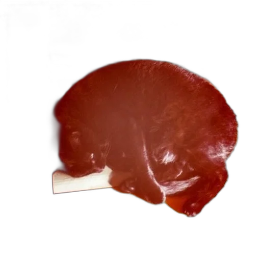 food, animal, weapon, staff transparent PNG cut-out