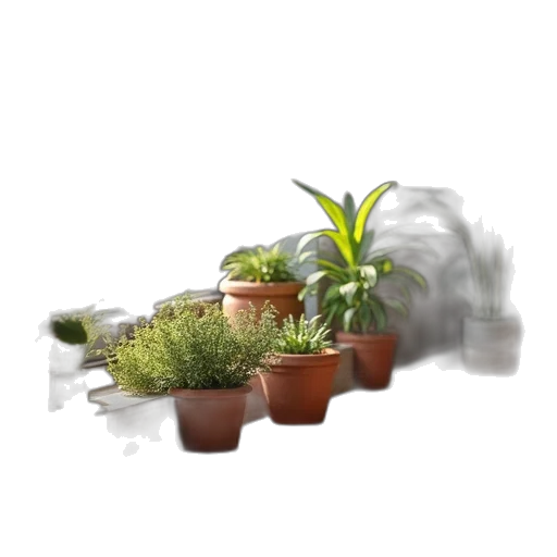 3d render, photorealistic, concept art, fog transparent PNG cut-out