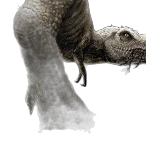 dragon, creature, animal, staff transparent PNG cut-out