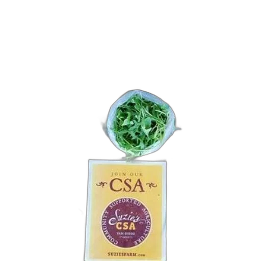 jewelry, food, variety, fresh transparent PNG cut-out