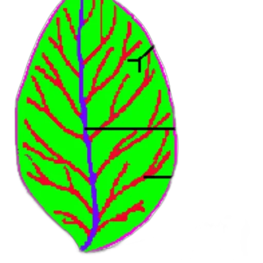 tree, crown, flower, jewelry transparent PNG cut-out