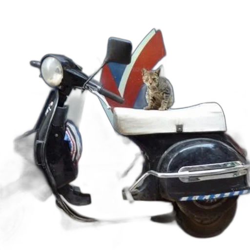 shoes, robot, car, animal transparent PNG cut-out