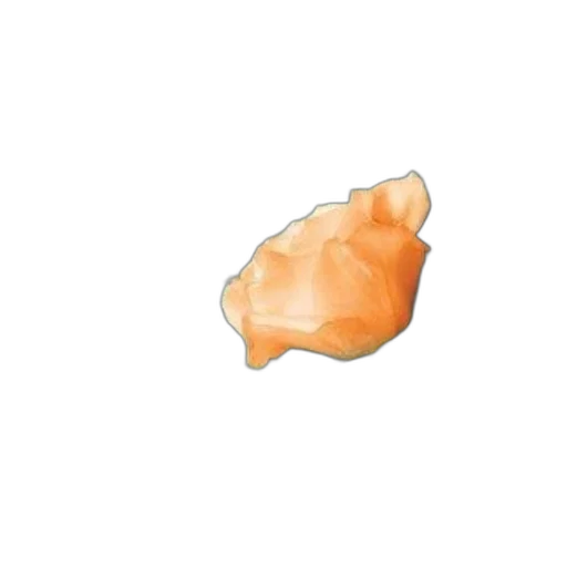 food, crown, animal, hat transparent PNG cut-out