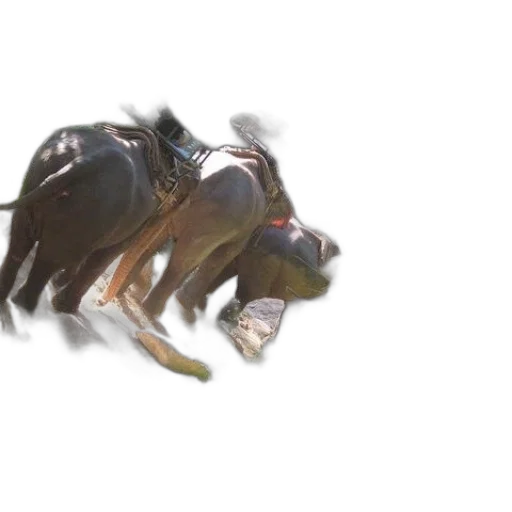 animal, creature, weapon, dragon transparent PNG cut-out