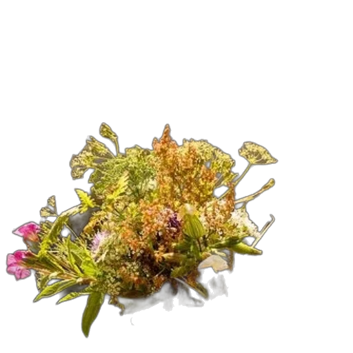 crown, flower, jewelry, food transparent PNG cut-out