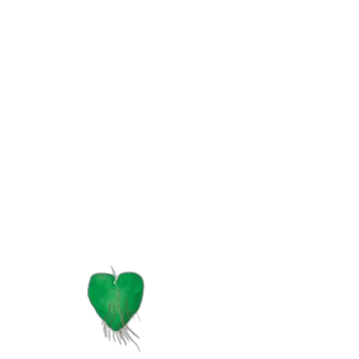 flower, hair, crown, tree transparent PNG cut-out