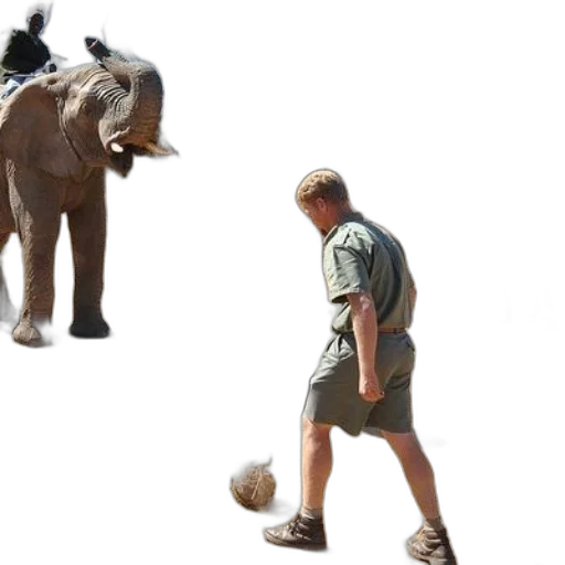 animal, creature, staff, concept art transparent PNG cut-out