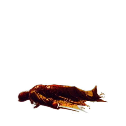 animal, creature, food, dragon transparent PNG cut-out