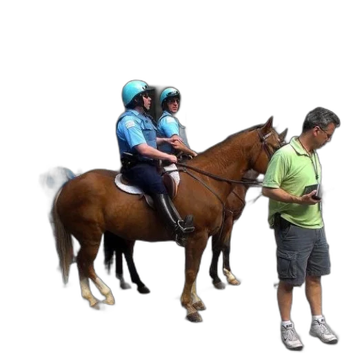 animal, staff, hat, concept art transparent PNG cut-out