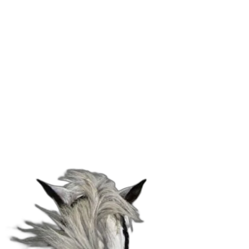 animal, hair, creature, mask transparent PNG cut-out