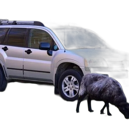 car, animal, black, sheep transparent PNG cut-out