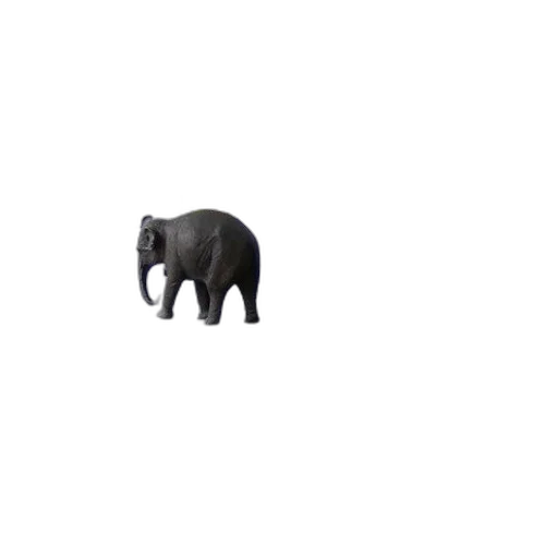 animal, creature, furniture, jewelry transparent PNG cut-out