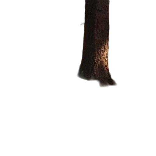 tree, staff, animal, weapon transparent PNG cut-out