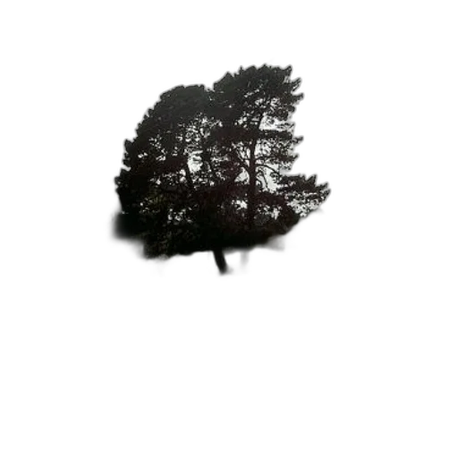 tree, hair, crown, face transparent PNG cut-out