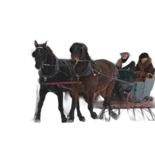 car, animal, concept art, photorealistic transparent PNG cut-out