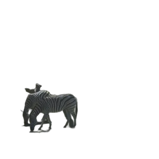 animal, furniture, creature, jewelry transparent PNG cut-out