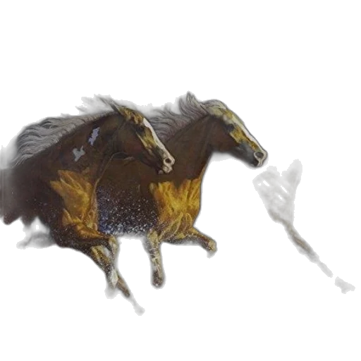 dragon, animal, creature, hair transparent PNG cut-out