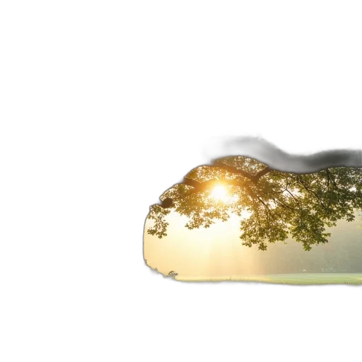 tree, shoes, hat, crown transparent PNG cut-out