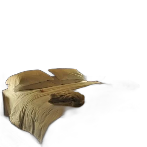 furniture, hat, hair, shoes transparent PNG cut-out