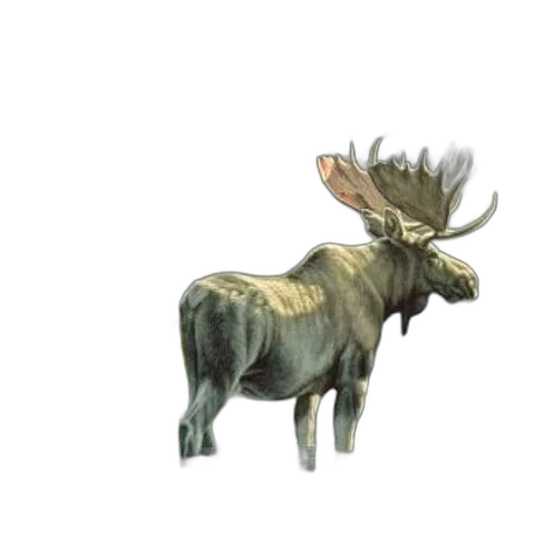animal, creature, crown, staff transparent PNG cut-out