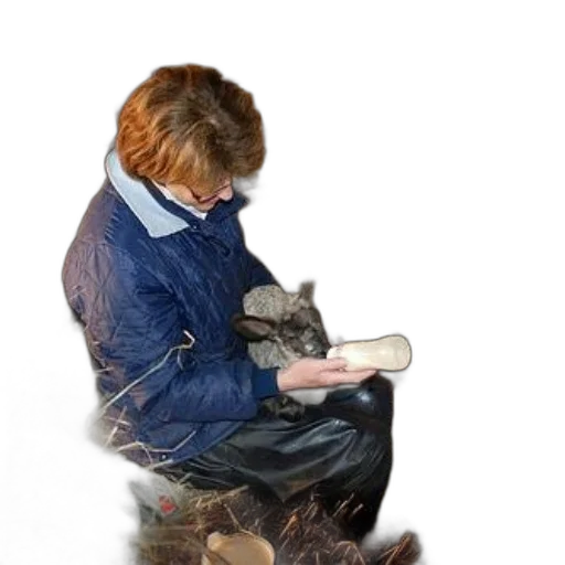 animal, shoes, jacket, creature transparent PNG cut-out