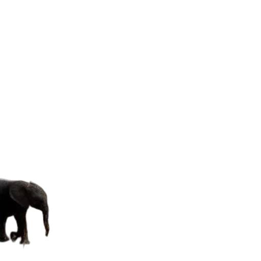 animal, creature, furniture, staff transparent PNG cut-out