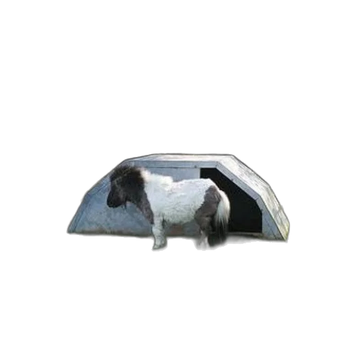 hat, car, animal, furniture transparent PNG cut-out