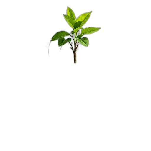 tree, staff, flower, crown transparent PNG cut-out
