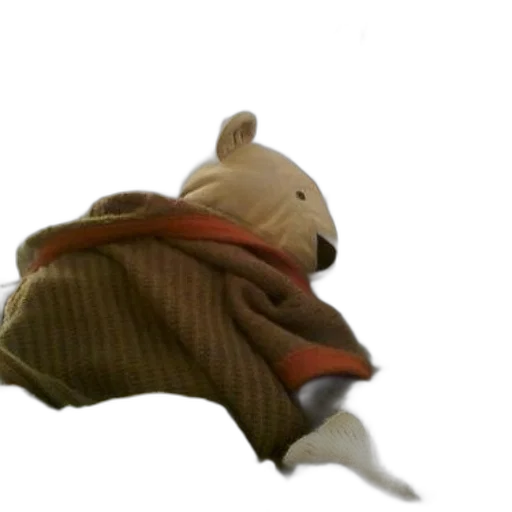 hat, creature, jacket, animal transparent PNG cut-out