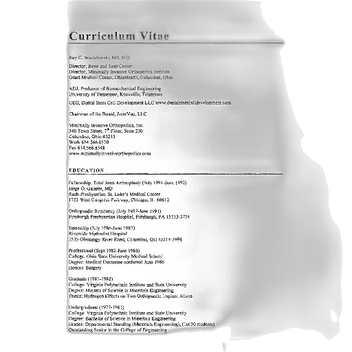 earth tones, monochrome, dark, curriculum transparent PNG cut-out