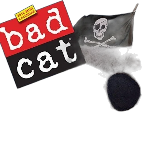 hat, jacket, weapon, staff transparent PNG cut-out