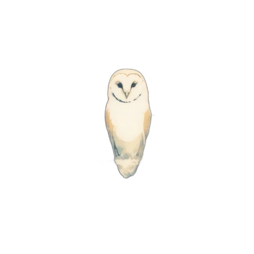 animal, face, creature, mask transparent PNG cut-out