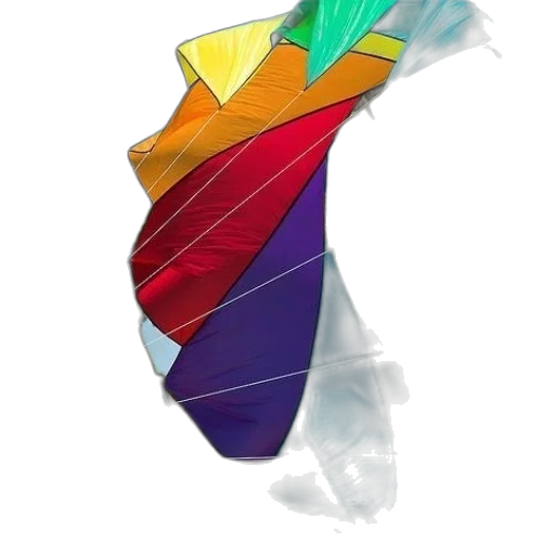 umbrella, crown, jewelry, flower transparent PNG cut-out