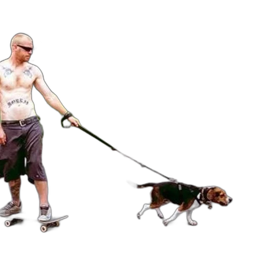 animal, staff, weapon, creature transparent PNG cut-out