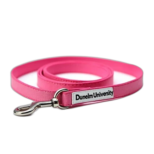 jewelry, pink, dog, leash transparent PNG cut-out