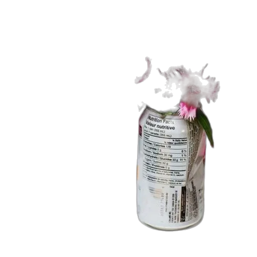 bottle, food, dragon, hair transparent PNG cut-out