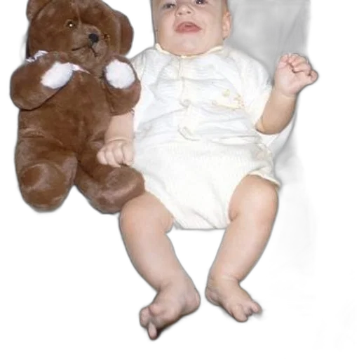 creature, furniture, animal, photorealistic transparent PNG cut-out