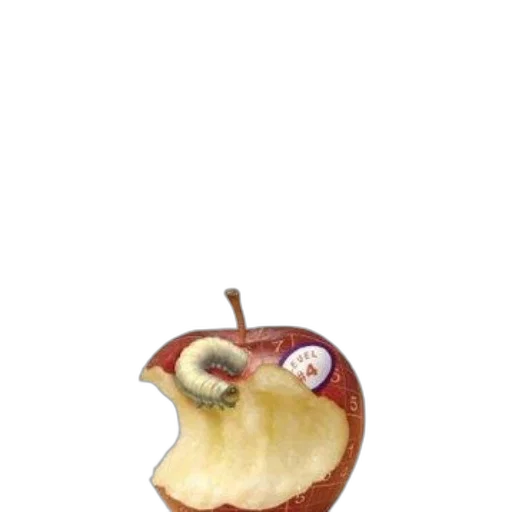 food, animal, staff, crown transparent PNG cut-out