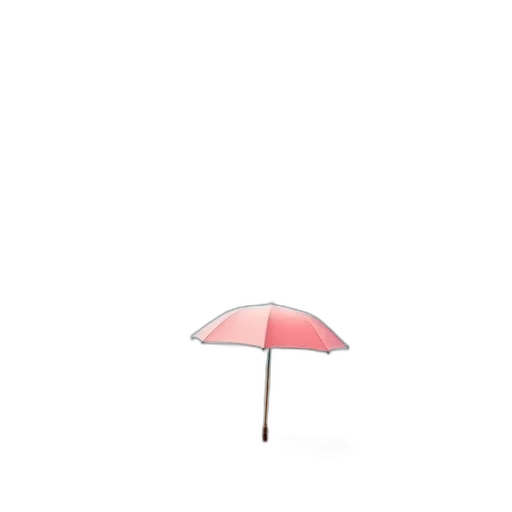 umbrella, hat, staff, flower transparent PNG cut-out