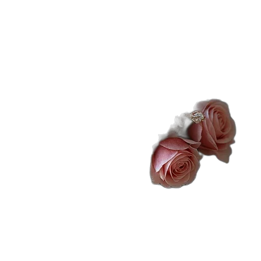 food, flower, jewelry, crown transparent PNG cut-out