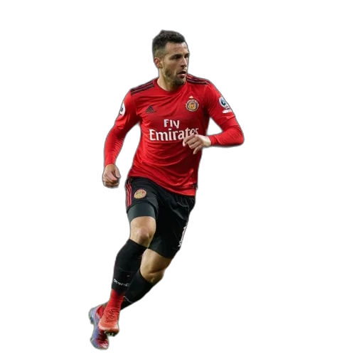 animal, pixel art, former, footballer transparent PNG cut-out